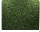 Photo-Booth-Modesto-Backdrops_Green-Grass