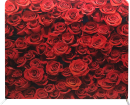 Photo-Booth-Modesto-Backdrops_Red-Roses